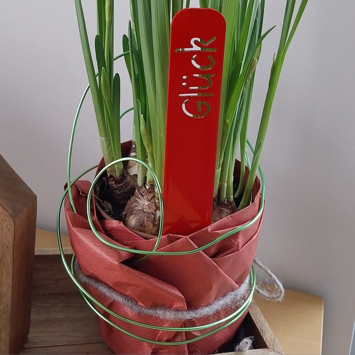 Blumenstecker Glück